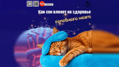 Как сон влияет на здоровье головного мозга